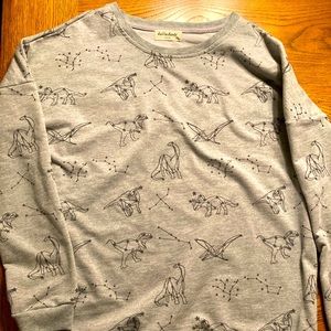 Dinosaur Constellation Sweatshirt